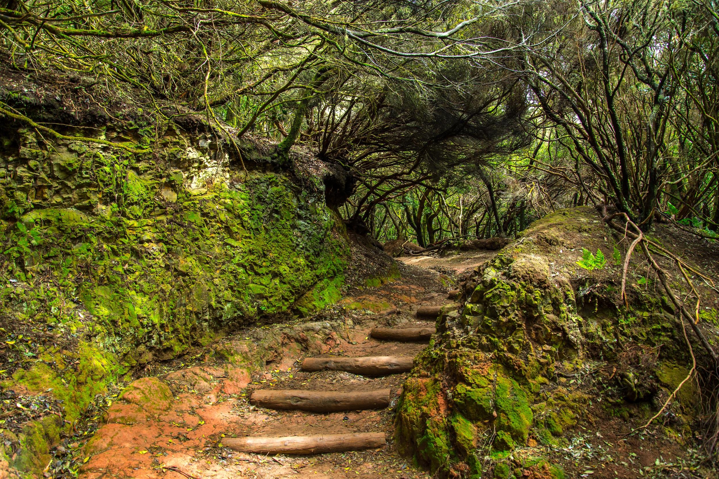 Sendero de los Sentidos (Teneriffa)