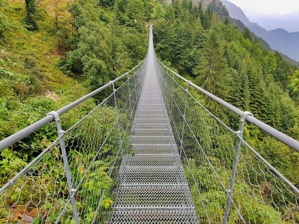 Hängebrücke im Wald