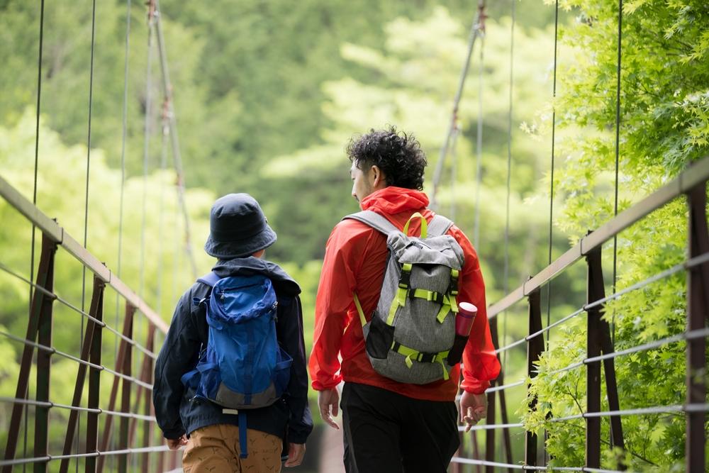 suspension bridge