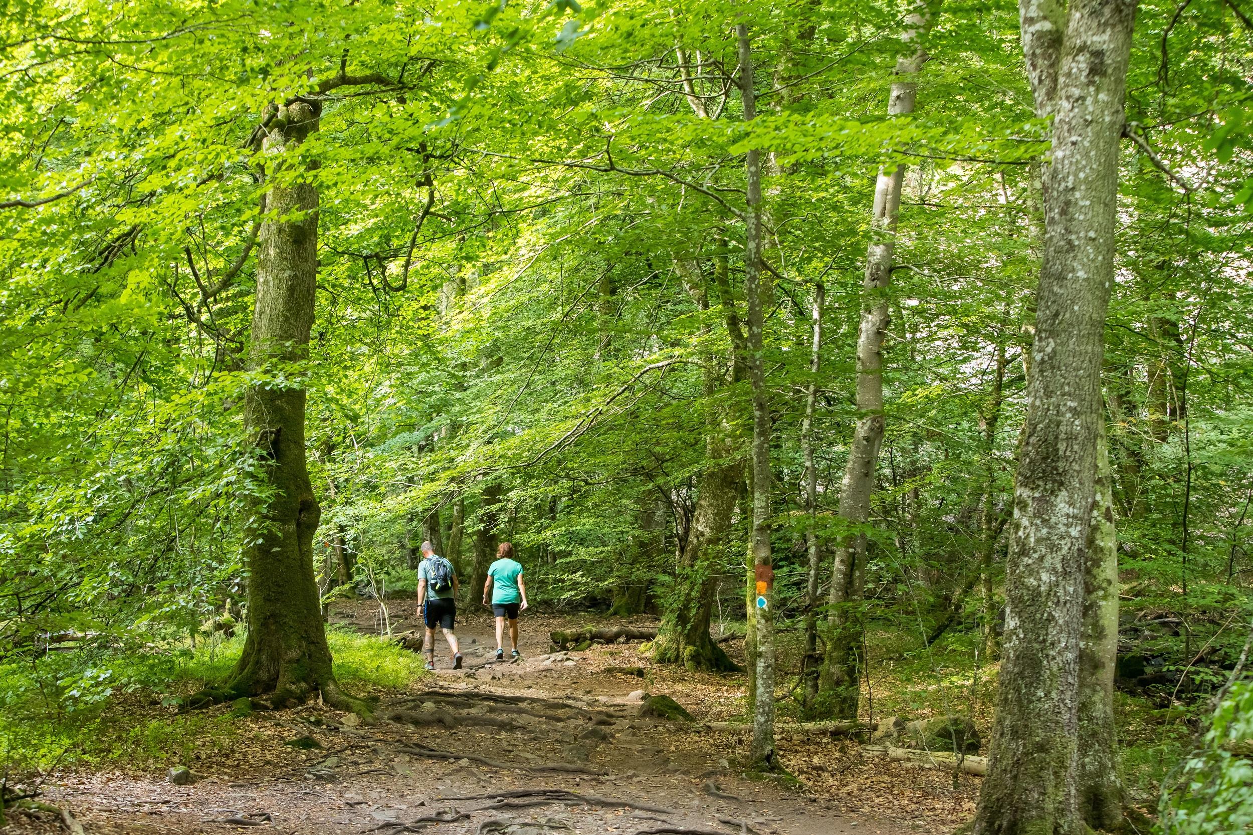 Nationaal Park Söderåsen, Zweden