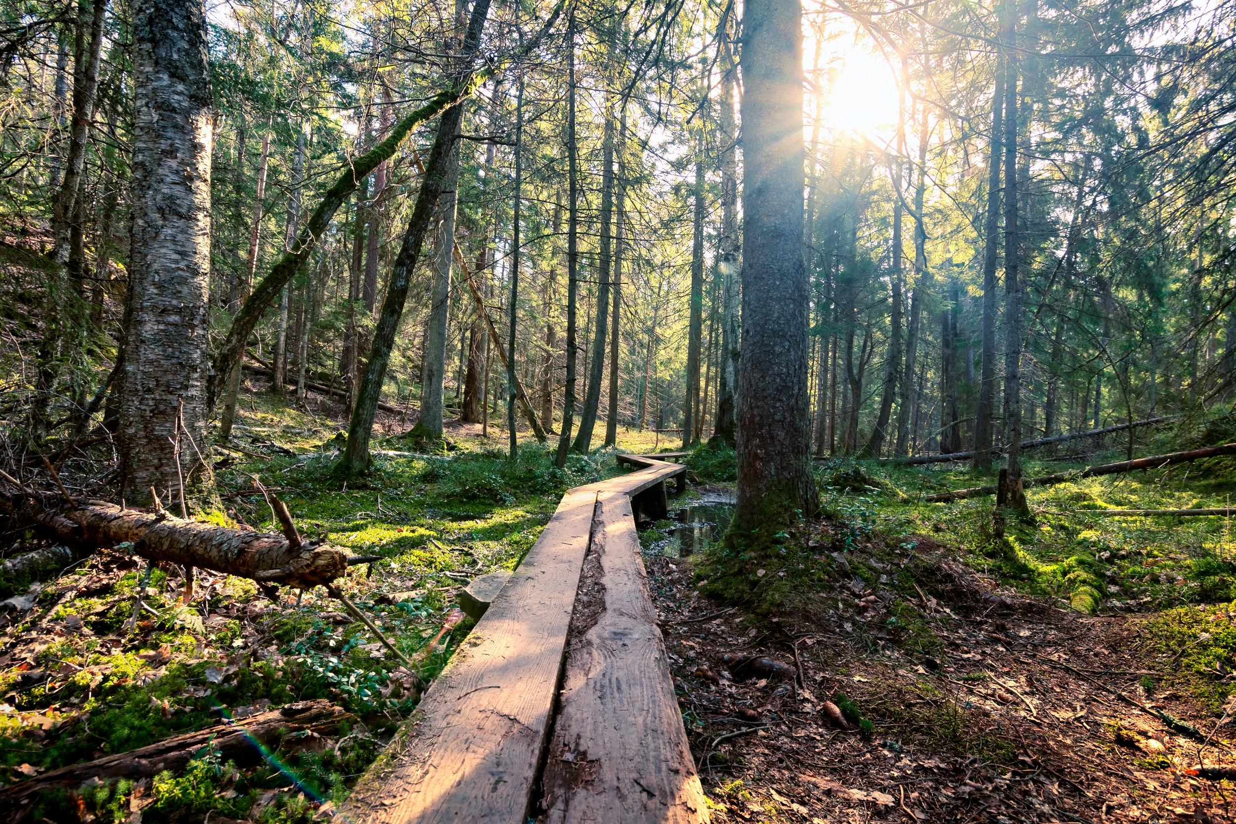 Nationaal Park Tyresta, Zweden