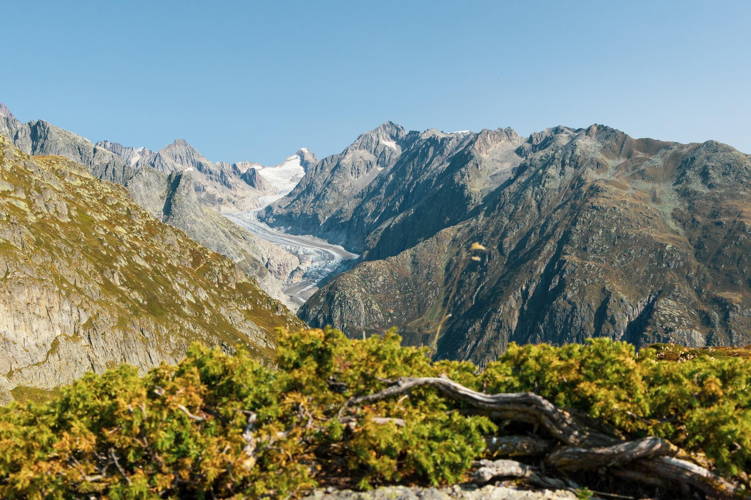 Suisse - Glacier d'Aletsch