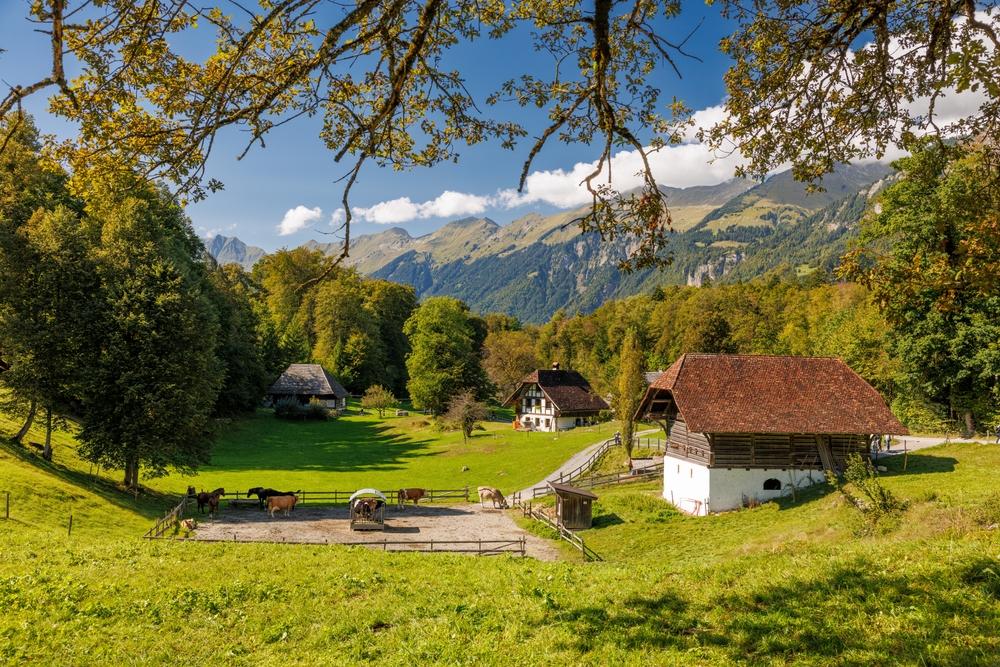 musée en plein air de Ballenberg en Suisse