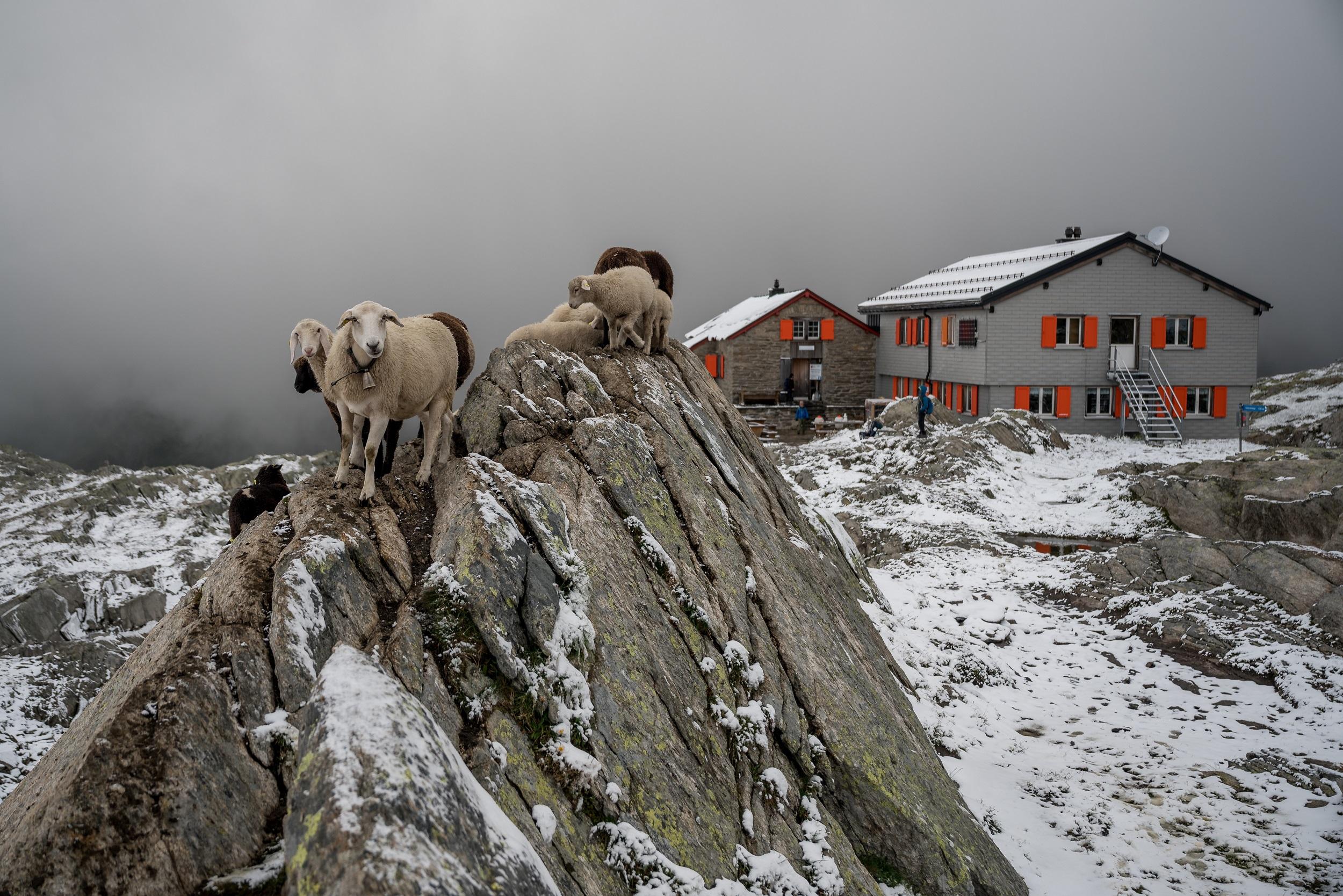 suisse-capanna-cadlimo