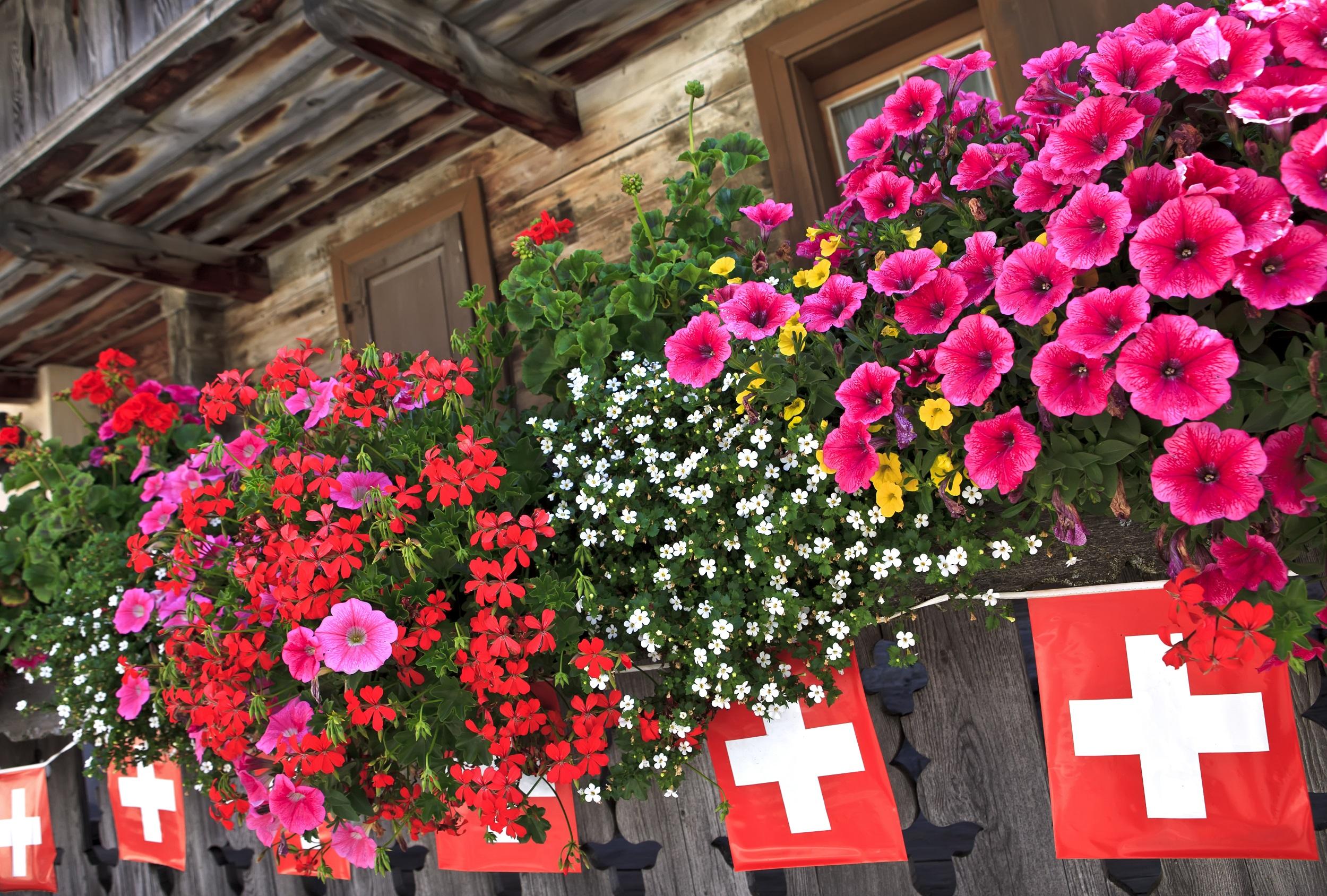 Schweiz-Chalet-Schweizer-Flaggen