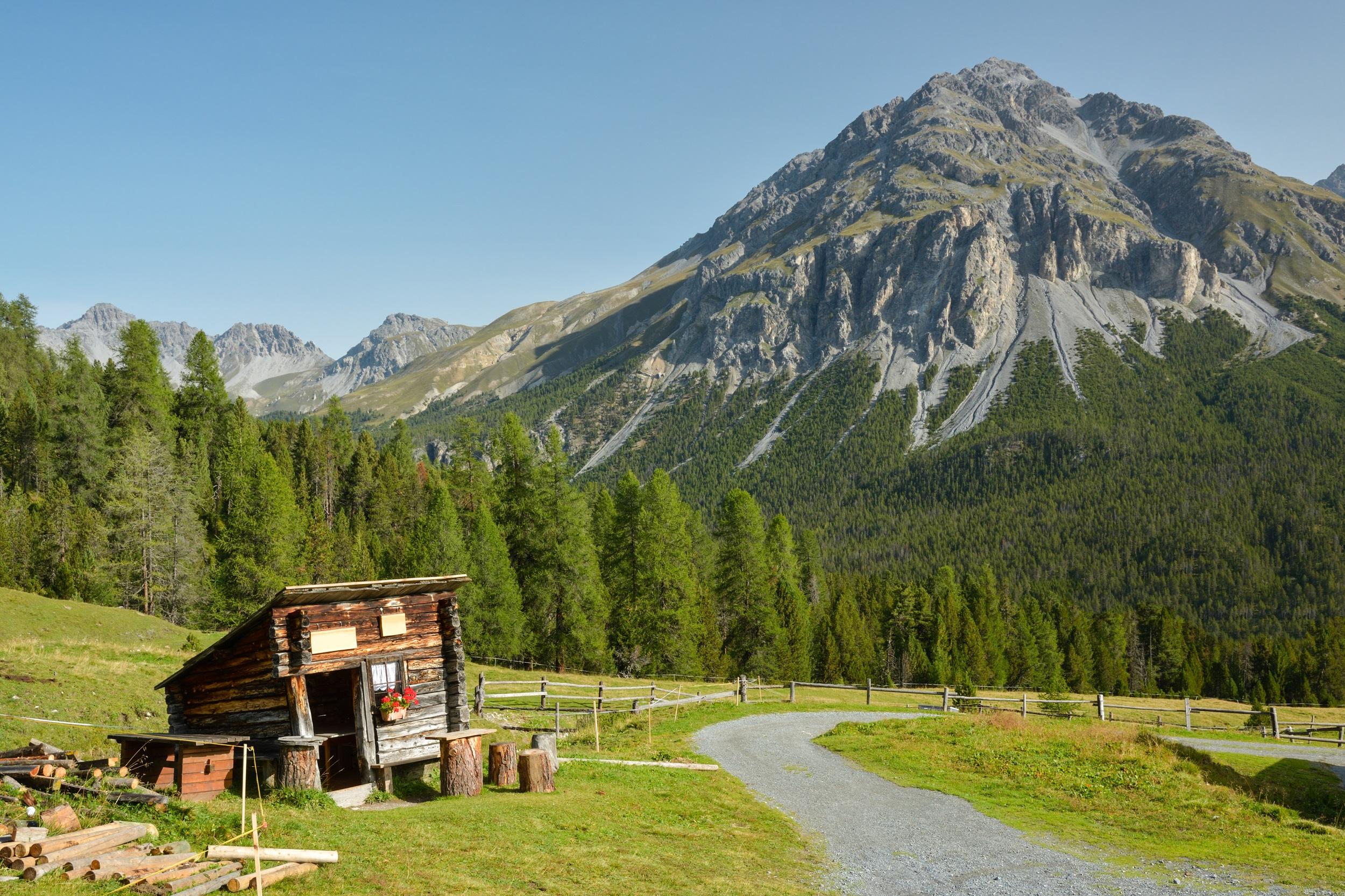Zwitserland Graubünden Zwitsers Nationaal Park
