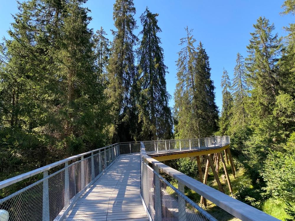 Suisse Laax promenade dans les arbres