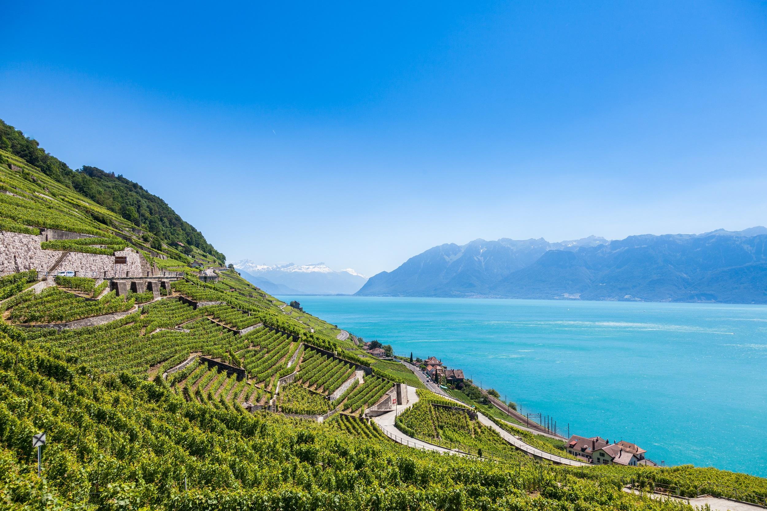 Zwitserland Meer van Genève Lavaux Wijngaardterrassen