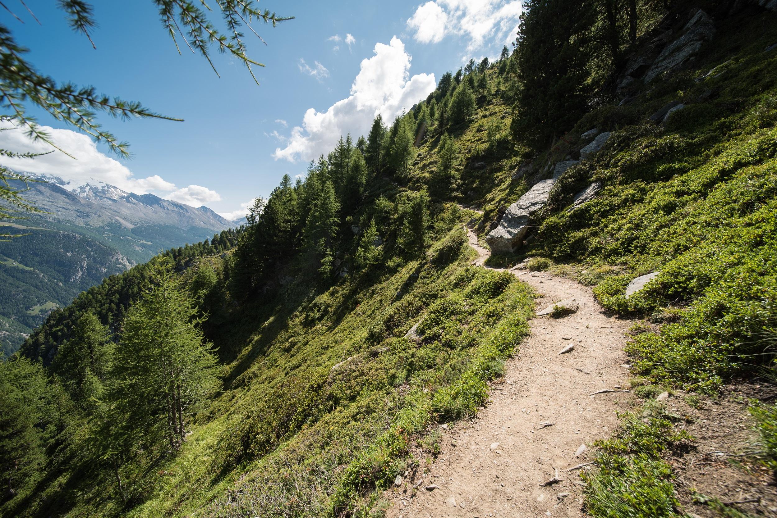 suisse-paysage-sur-sentier-de-randonnée-greachen