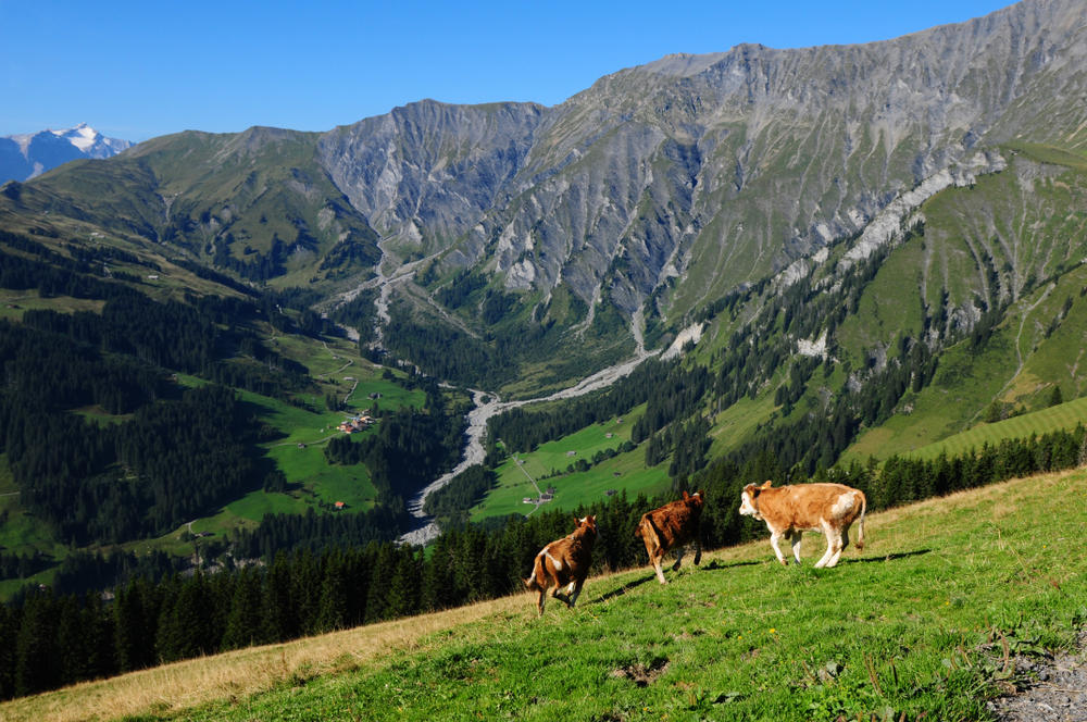 Zwitserland Tschentenalp