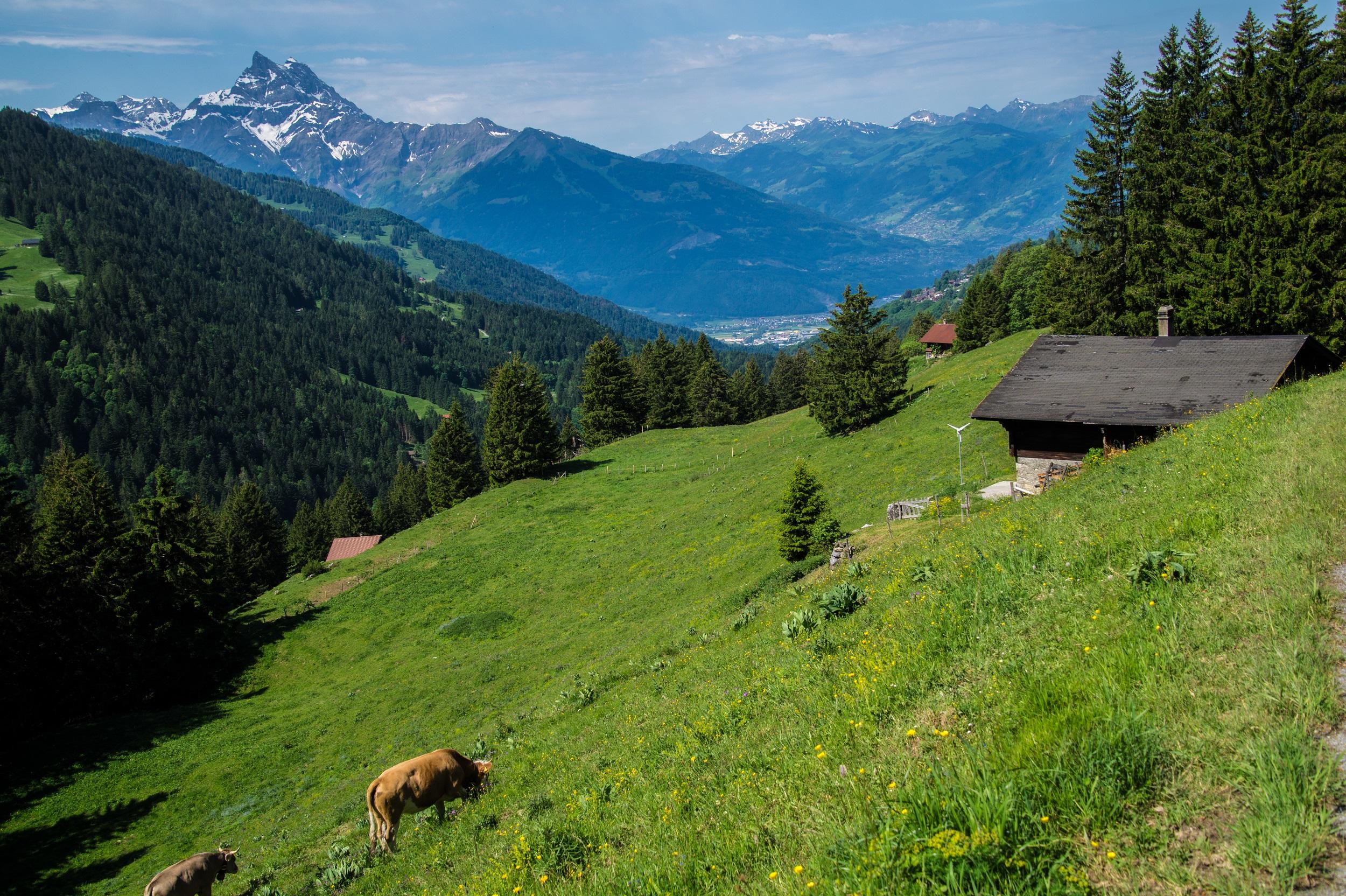Schweiz Waadt Alpe Chaux