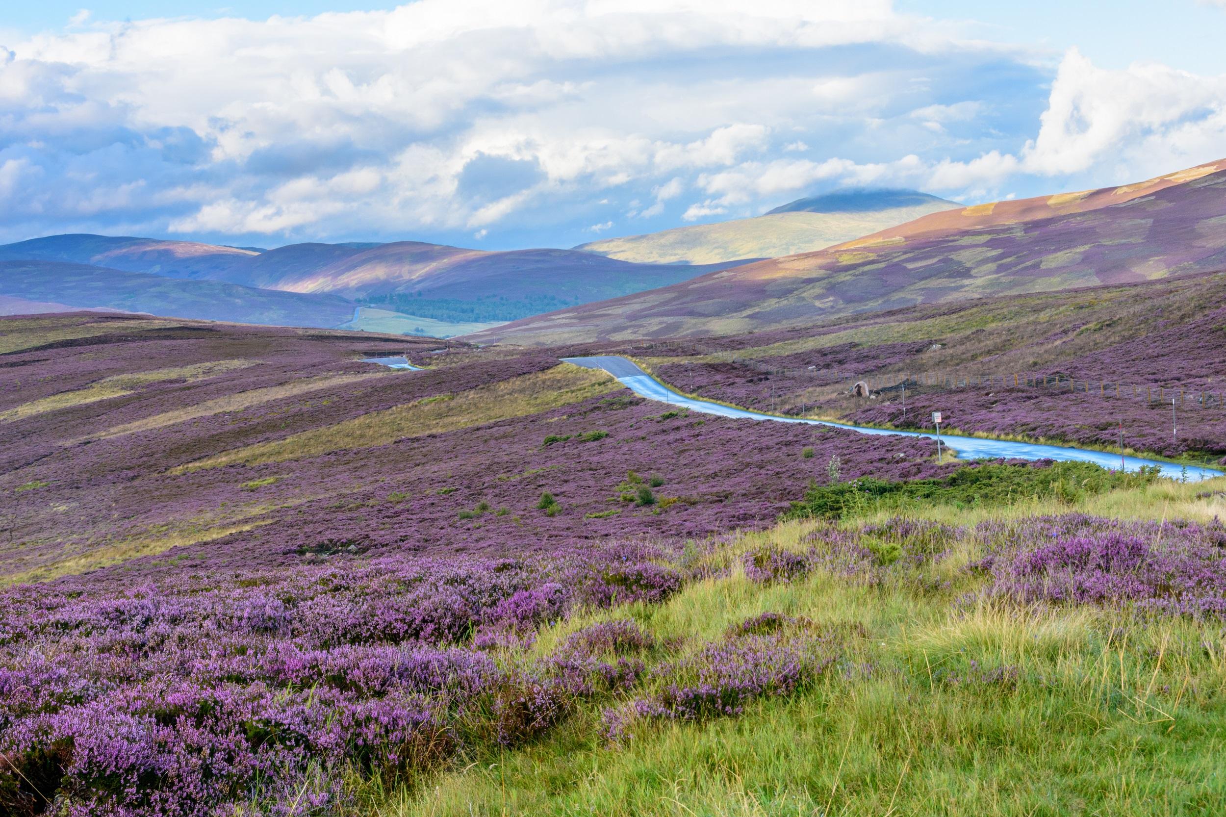 Royaume-Uni Écosse Parc national des Cairngorms