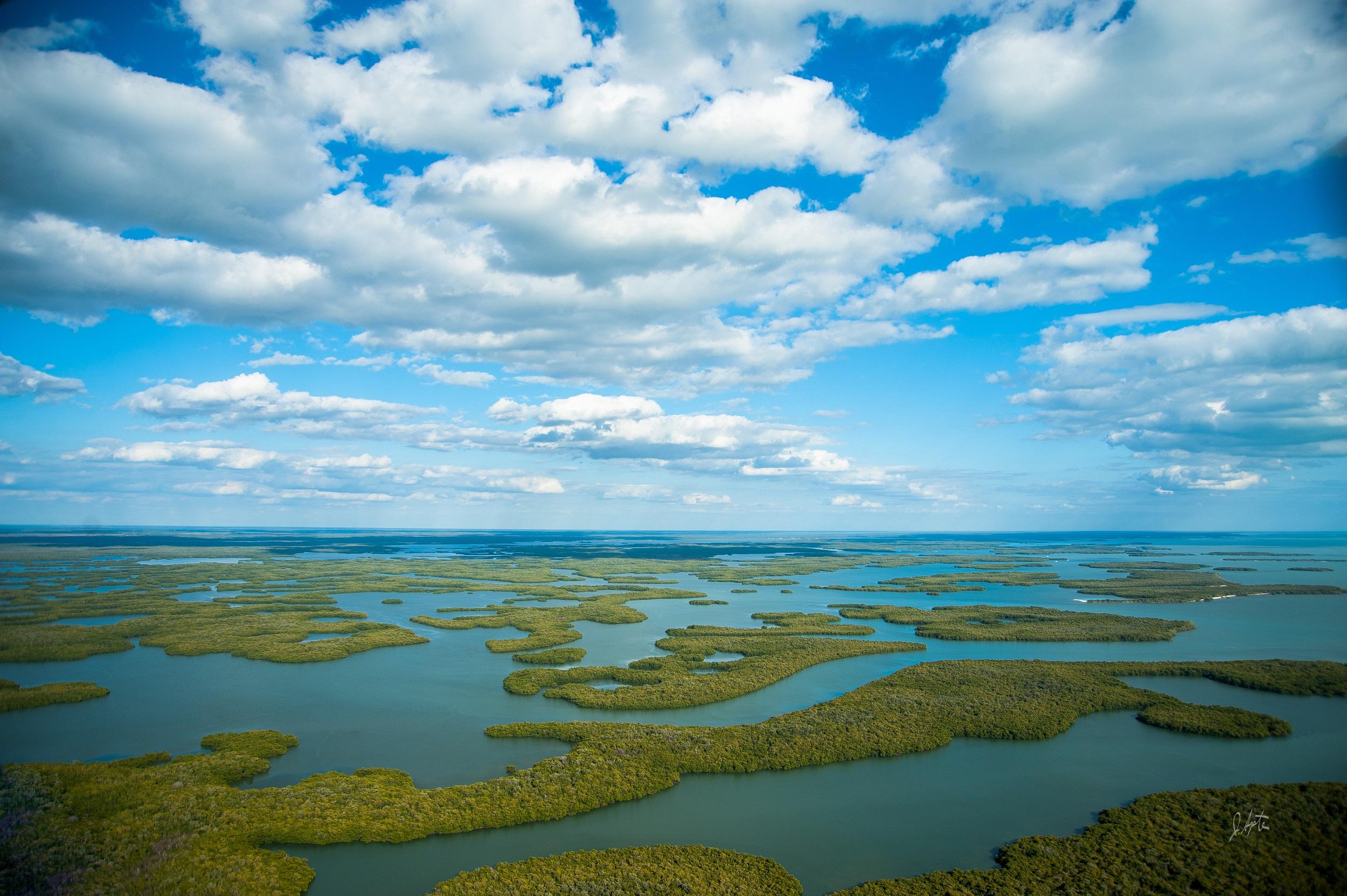 États-Unis Floride Parc national des Everglades