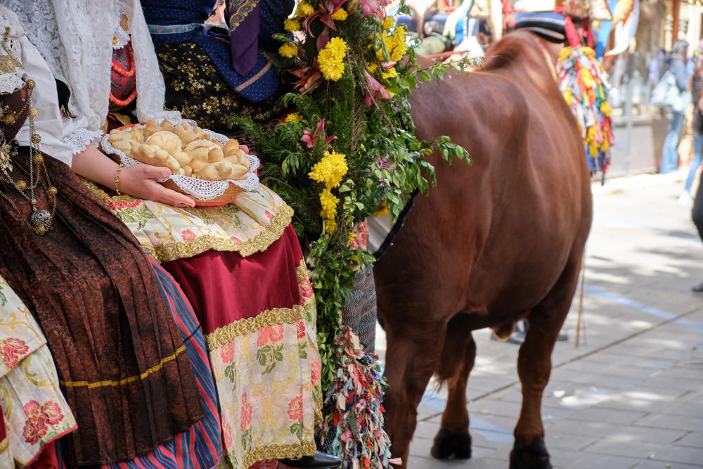 woman in typical Sardinian costume